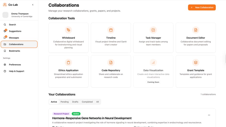 Project collaboration workspace